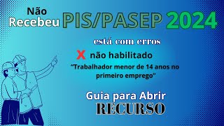 Trabalhador menor de 14 anos no primeiro emprego Não habilitado [upl. by Eiramadnil258]