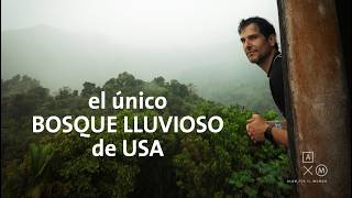 El ÚNICO Bosque lluvioso de USA  Puerto Rico 2 Alan por el mundo [upl. by Aratahc203]