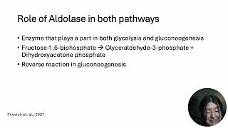 Glycolysis Gluconeogenesis and Aldolase [upl. by Arrim]