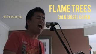 Flame Trees Cold Chisel cover  Lounge room sessions [upl. by Barbe]