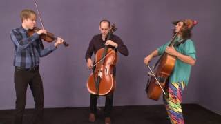 Cello with Mike Block quotLa Cucarachaquot Improvisation Performance [upl. by Arola]