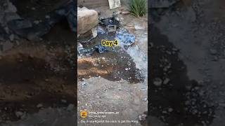 Day 4 of the pondless waterfall remodel [upl. by Halladba]