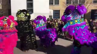 Nouvel An Chinois au Lycée Monet Paris 13 [upl. by Karilla836]