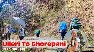 Ulleri To Ghorepani  Poon Hill Trek [upl. by Elrebma]