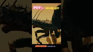 The Killer Ant 🐜 💀 shorts ytshorts killer [upl. by Relly]