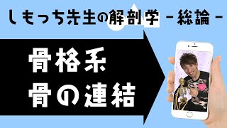 リズムで覚える骨の連結 解剖学総論 骨格系⑤ [upl. by Aekim]