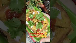 Quick and easy breakfast sandwich🥪shortvideo viralvideosfood recipeyummy🤤😋🤩🥰 [upl. by Bainbridge]