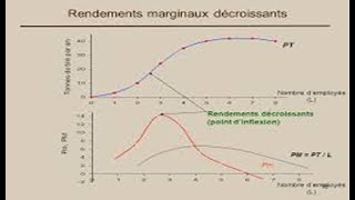 EXERCICE 1 quot Théorie de la production  les rendements marginaux décroissants quot 1 [upl. by Enicul937]