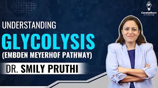 Understanding Glycolysis Embden Meyerhof Pathway cerebellumacademy neetpg fmge [upl. by Nolava]