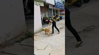 Security don’t feed dogs here 🐕🥲 bengaluru z900 lekigoswami [upl. by Meela]