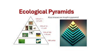 Ecological Pyramids  Trophic pyramid  Pyramid of Numbers  Pyramid of Biomass  Pyramid of Energy [upl. by Yllen]