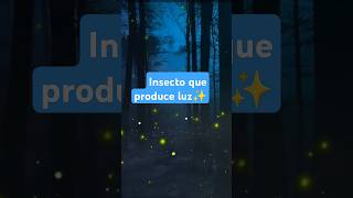 El Insecto que produce luz 😱💡 [upl. by Nino]