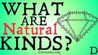 What are Natural Kinds Philosophical Definition [upl. by Sergo812]