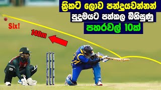 10 Unique Shots In Cricket  Unbelievable Cricket Shots in Cricket History [upl. by Amiaj]