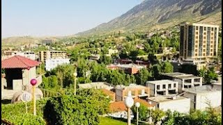 شارع شقلاوة Where the beauty of nature meets city streets [upl. by Cerracchio]