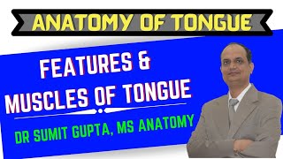 ANATOMY OF TONGUE  FEATURES amp MUSCLES [upl. by Yenruogis550]