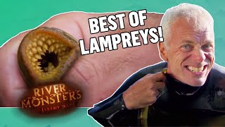 The BEST OF LAMPREYS  COMPILATION  River Monsters [upl. by Hollander]