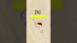 Voiced Glottal Fricative ɦ phonetics [upl. by Ligetti]