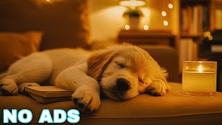 12 HOURS of Dog Calming Music For Dogs🎵🐶Separation Anxiety Relief🎵💖sleep music for deep sleep🎵 [upl. by Hecht137]