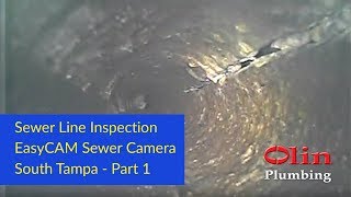 Sewer Line Inspection  EasyCAM Sewer Camera  South Tampa  Part 1 [upl. by Eirehc]