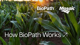 BioPath® by Mosaic  Unlock Crop Potential [upl. by Ruhl]