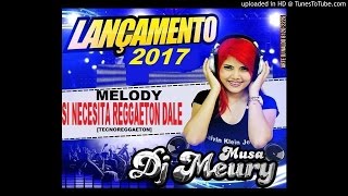 DJ MÉURY A MUSA DAS PRODUÇÕES  SI NECESITA REGGAETON DALE 2017 TECNOREGGAETON [upl. by Leunamnauj]