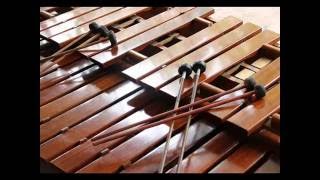 MARIMBA PERLA DE CHIAPAS  CAMARON PELAO [upl. by Yecies]