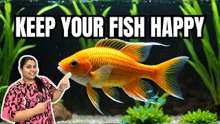 Keep your Fish Healthy and Happy Feeding tips for Aquarium Fish  Blessings Aquarium [upl. by Ellohcin]