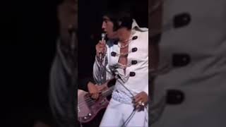 elvis presley polk salad annie in 1970 [upl. by Eirac9]