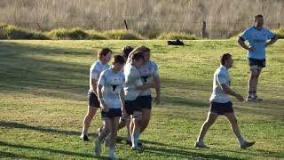 Lions v Narrabri first grade tries today [upl. by Orest]