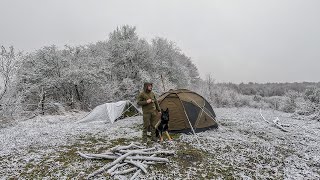 Winter Storm Camping with my Dog  Rain and Snow in the One Day [upl. by Sidell]