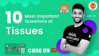 Tissues  7  10 Most Important Questions of Tissues  CBSE 9 Science 202223  Amrit Sir [upl. by Carper]