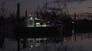 6am start to the day bass fishing from Newlyn [upl. by Mazman]