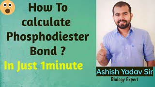 How To Calculate Phisphodiester Bond [upl. by Yelsiap]