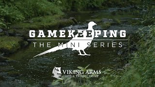 Gamekeeping The Mini Series  Pheasant E1 [upl. by Hollingsworth]