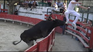 MANDUELCourse CamarguaiseAvenir29082022 [upl. by Gilud]