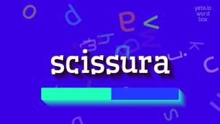 HOW TO SAY SCISSURA [upl. by Arua186]