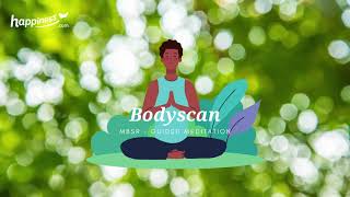 MBSR Meditation  Quick Bodyscan [upl. by Akimet518]