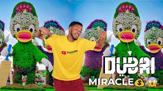 😲Mucjiso Cajiib Weeye Dubai Miracle Garden  Amazing place Dubai Miracle Garden [upl. by Brucie304]