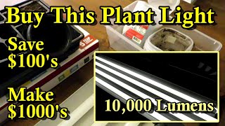 Grow Your Own Garden Transplants Indoors amp Make Money Materials Light Ratings Basic Set Up [upl. by Armat]