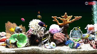 Marine Aquarium 33  1 hours 4K for Relax Time [upl. by Aenil]