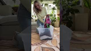 HIGH QUALITY potting soil perlite orchid bark Mix well 🤌🏻 Happy growing planttips soil diy [upl. by Gwenni]