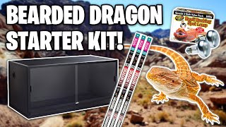 Everything you Need For a Bearded dragon How to setup a bearded dragon tank [upl. by Langer]