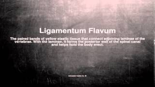 Medical vocabulary What does Ligamentum Flavum mean [upl. by Dyob]