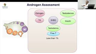 MedEClasses Lecture Series Approach to Hyperandrogenism [upl. by Amikahs]