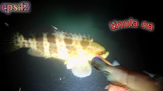 eps42NightSpearfishing Bucas Grande Island SDN [upl. by Salohcim]