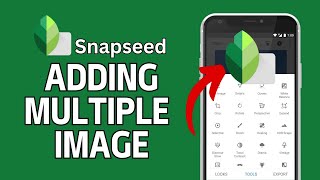 How to Add Multiple Images in Snapseed 2024 [upl. by Egidio]