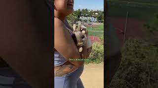 Couple Finds An Abandoned Bunny On Their Walk  The Dodo [upl. by Oiciruam202]