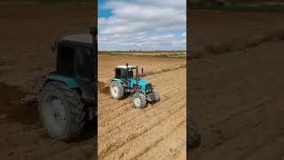 Синий трактор трактор traktor traktör tarım tarim farm farming field tarım harvest [upl. by Ola]