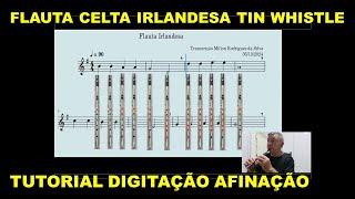 FLAUTA CELTA IRLANDESA TIN WHISTLE TUTORIAL COM TABLATURA PARTITURA AFINAÇÃO DIGITAÇÃO [upl. by Aelanej]